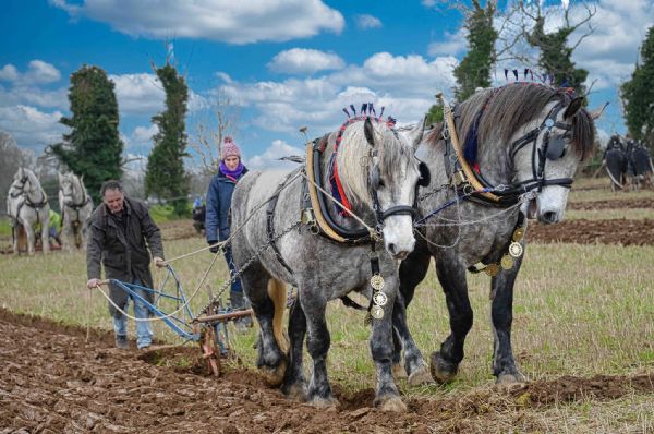 International Ploughing Competition by John Hutton